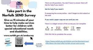 Youth Forum SEND survey2