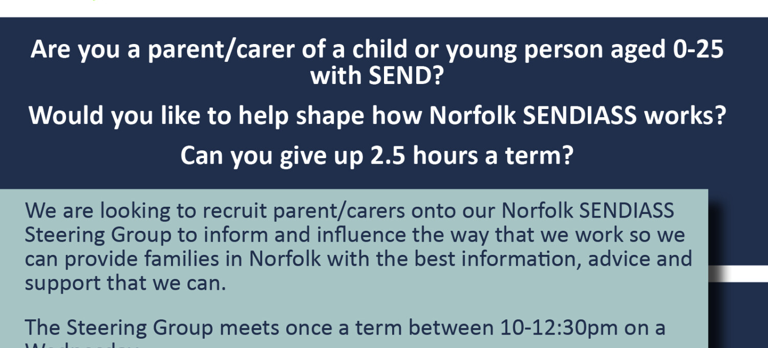 SENDIASS steering group advert