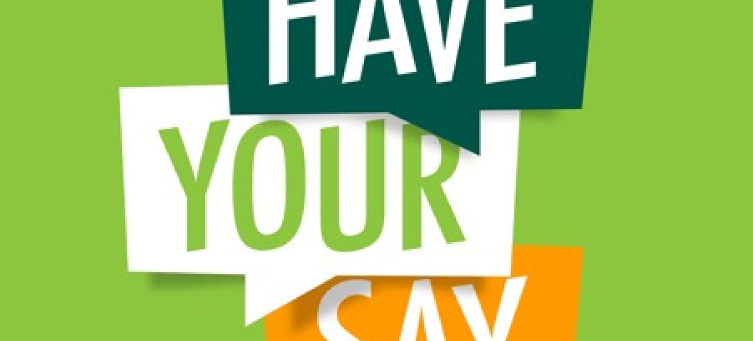 have your say one