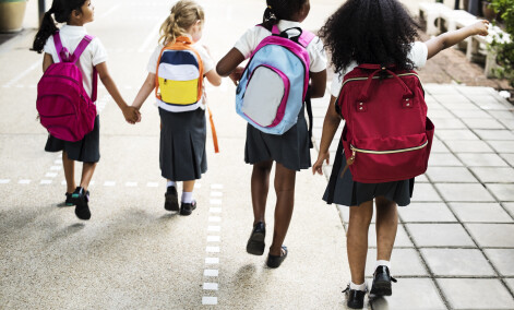 AdobeStock 163310584 school