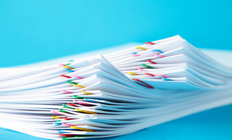 AdobeStock 365677003