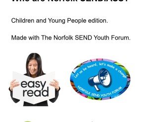 CYP version Who are Norfolk SENDIASS  EASY READ