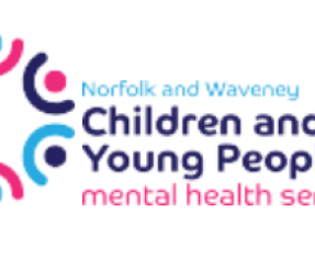 mental health service logo2